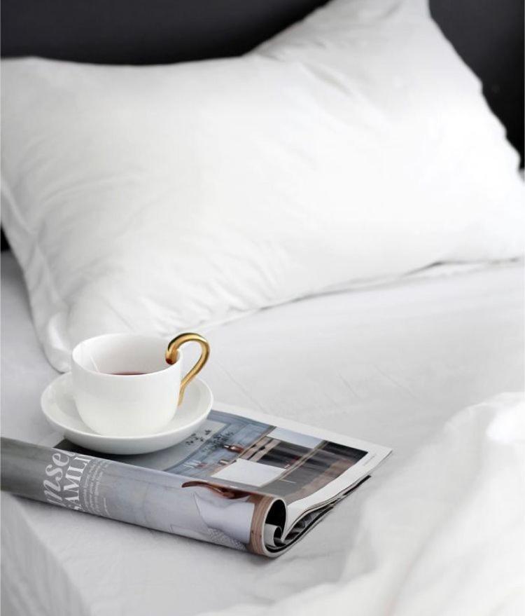 The Queen Airport Hotel-Round Trip Airport Service Arnavutkoy Exteriör bild